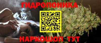 молекула духа Среднеуральск