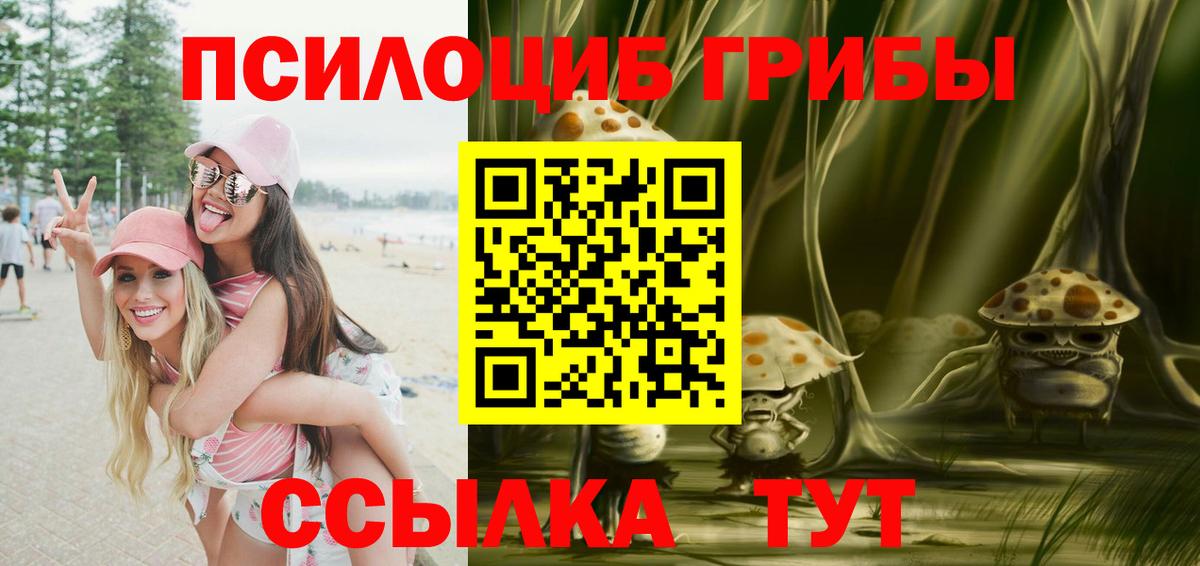 Нурлат  Галлюциногенные грибы Cubensis  Галлюциногенные грибы GOLDEN TEACHER  Вход с VPN 